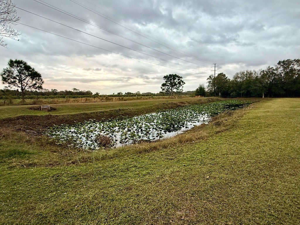 R-Bar Estates - Residential