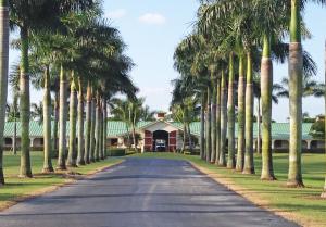 Wellington - Residential