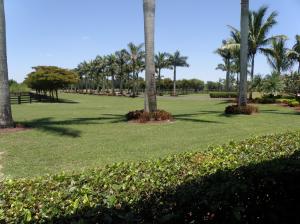 Wellington - Residential