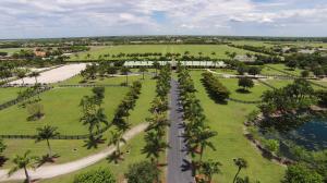 Wellington - Residential