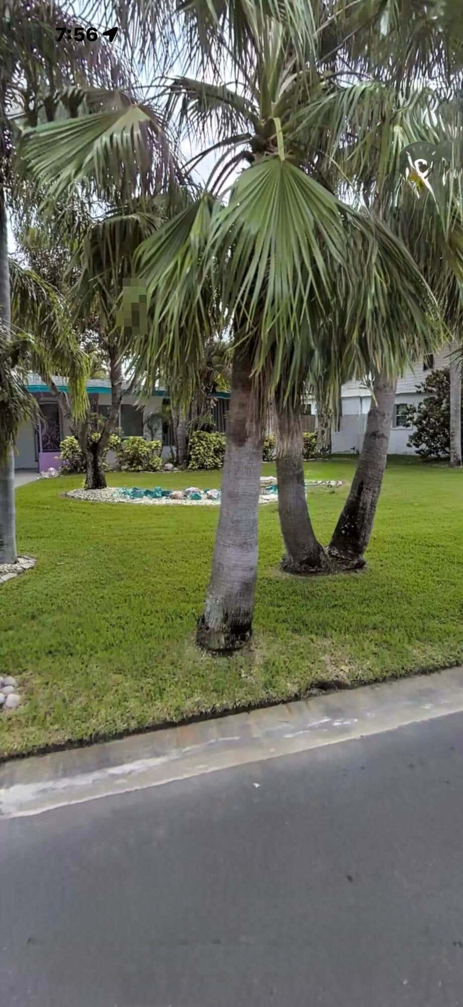 Photo of 2469 W Baywood Dr Drive W, Dunedin, FL 34698 (MLS # B26035681)