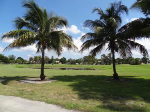 PALM GREENS AT VILLA DEL - Residential