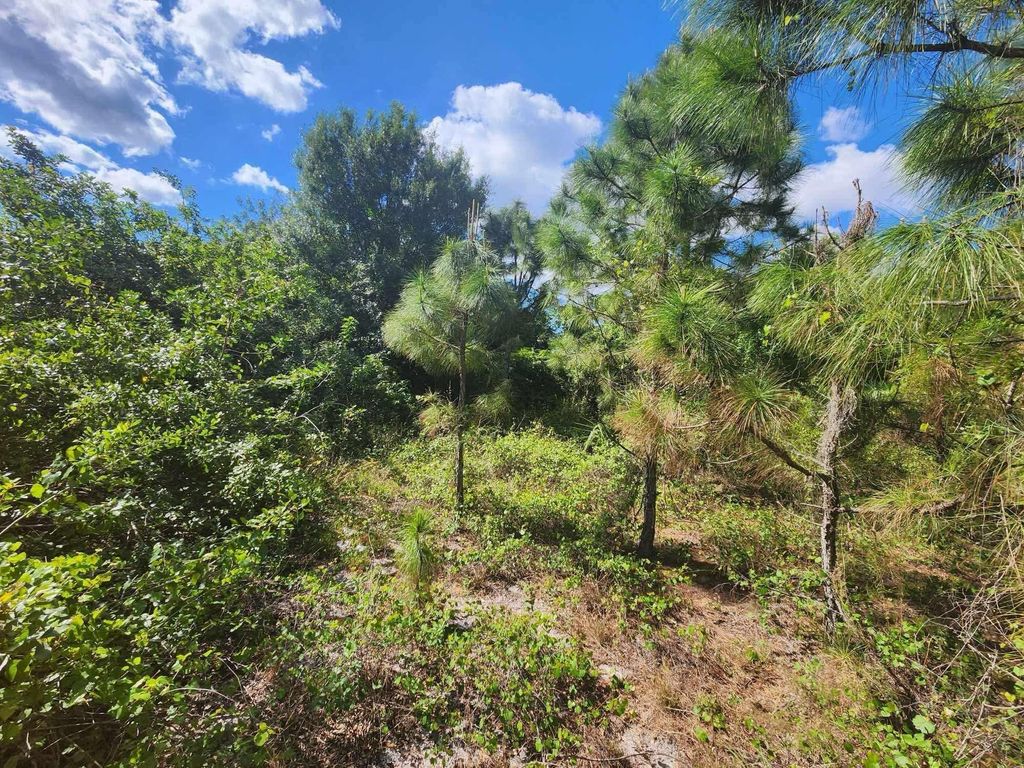 Photo of 4252 SW Muncie Street, Port Saint Lucie, FL 34953 (MLS # R11079498)