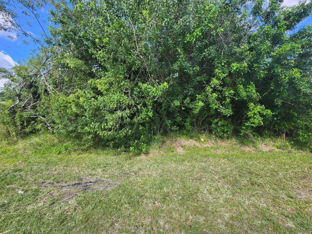 Photo of 4252 SW Muncie Street, Port Saint Lucie, FL 34953 (MLS # R11079498)