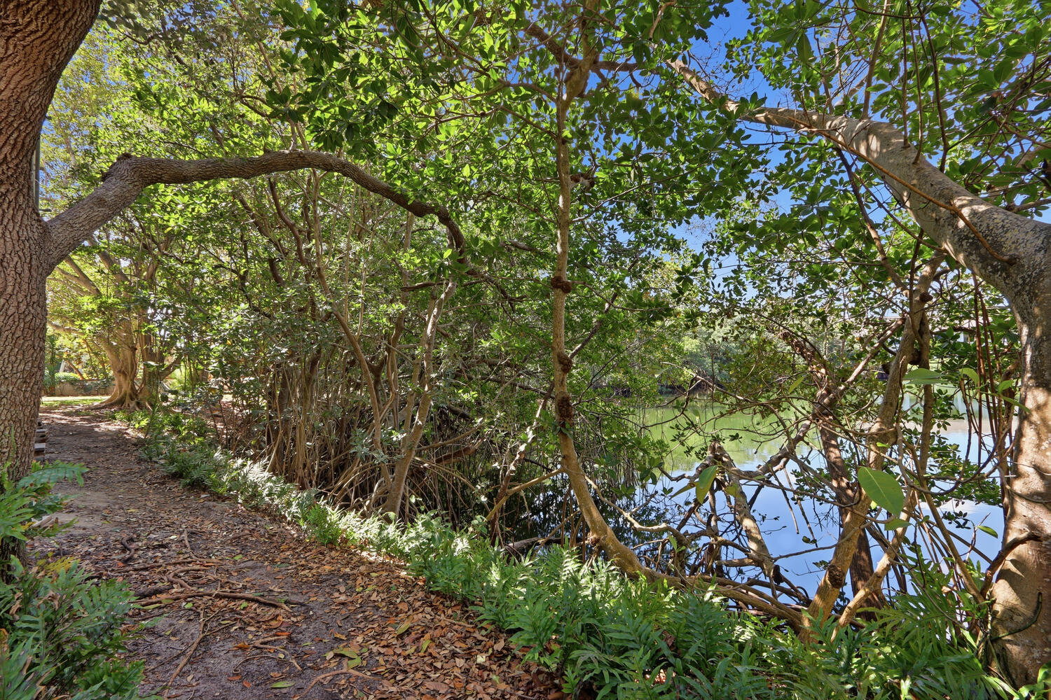 OCEAN TRAIL CONDO V - Residential