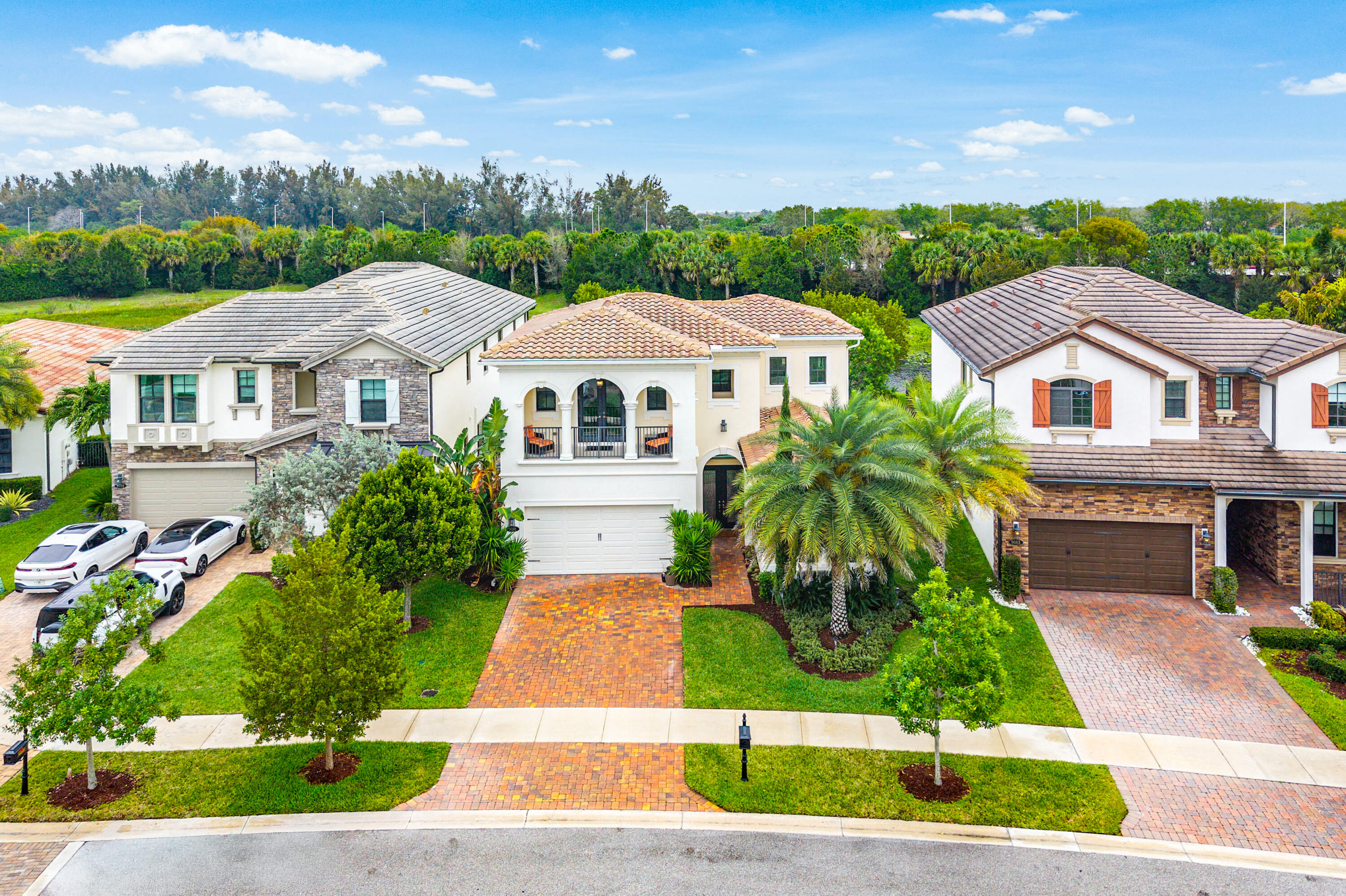 PALM MEADOWS ESTATES - Residential