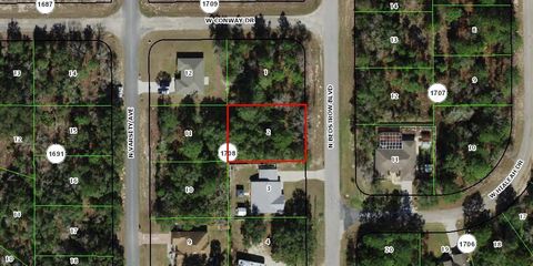 6691 N Bedstrow Blvd Citrus Springs FL 34434
