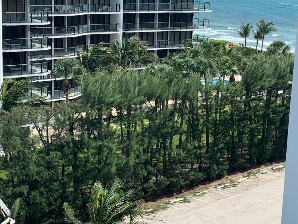 PATRICIAN OF PALM BEACH C - Residential Lease