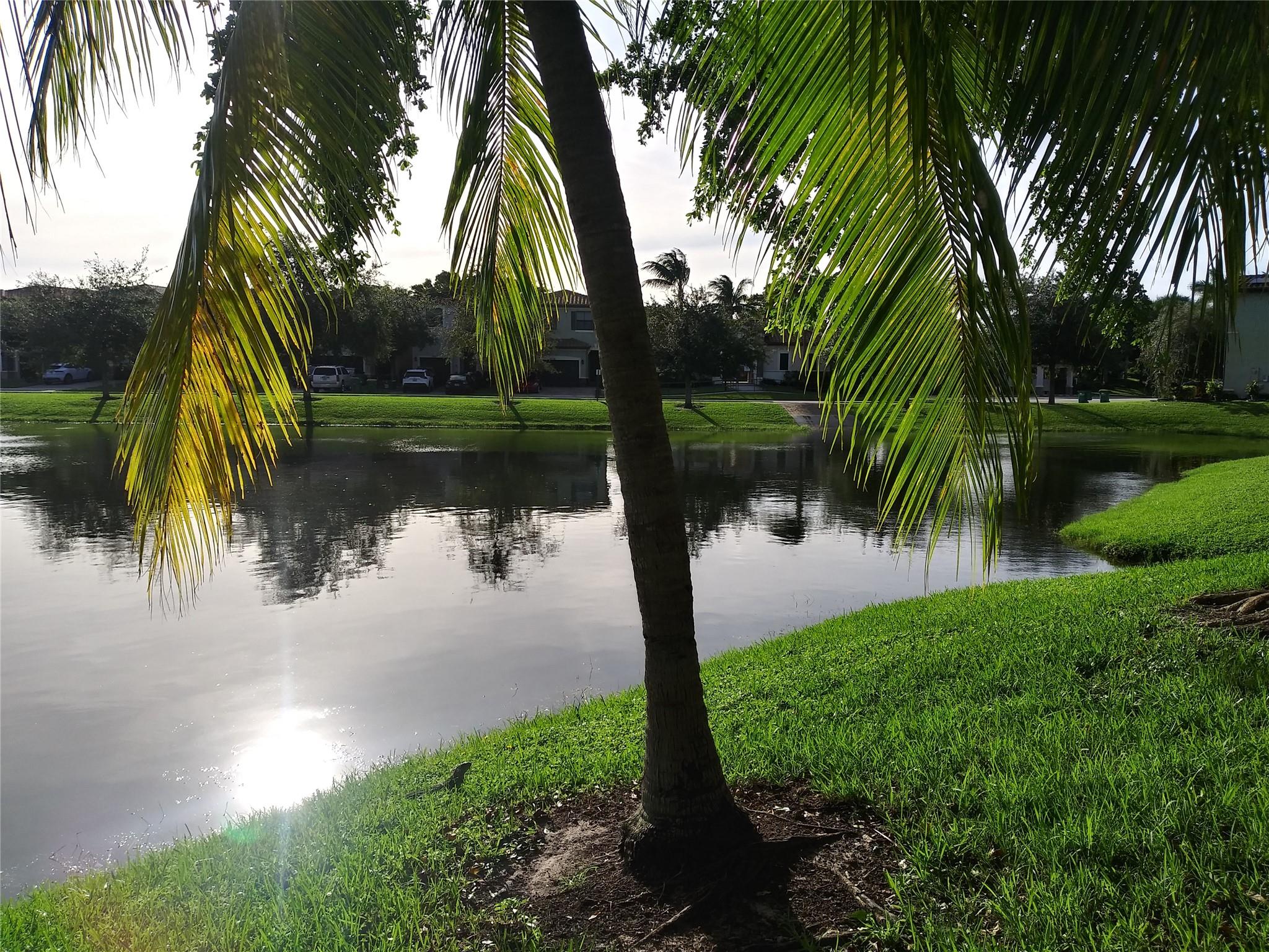 Sun Vista Gardens condo - Residential