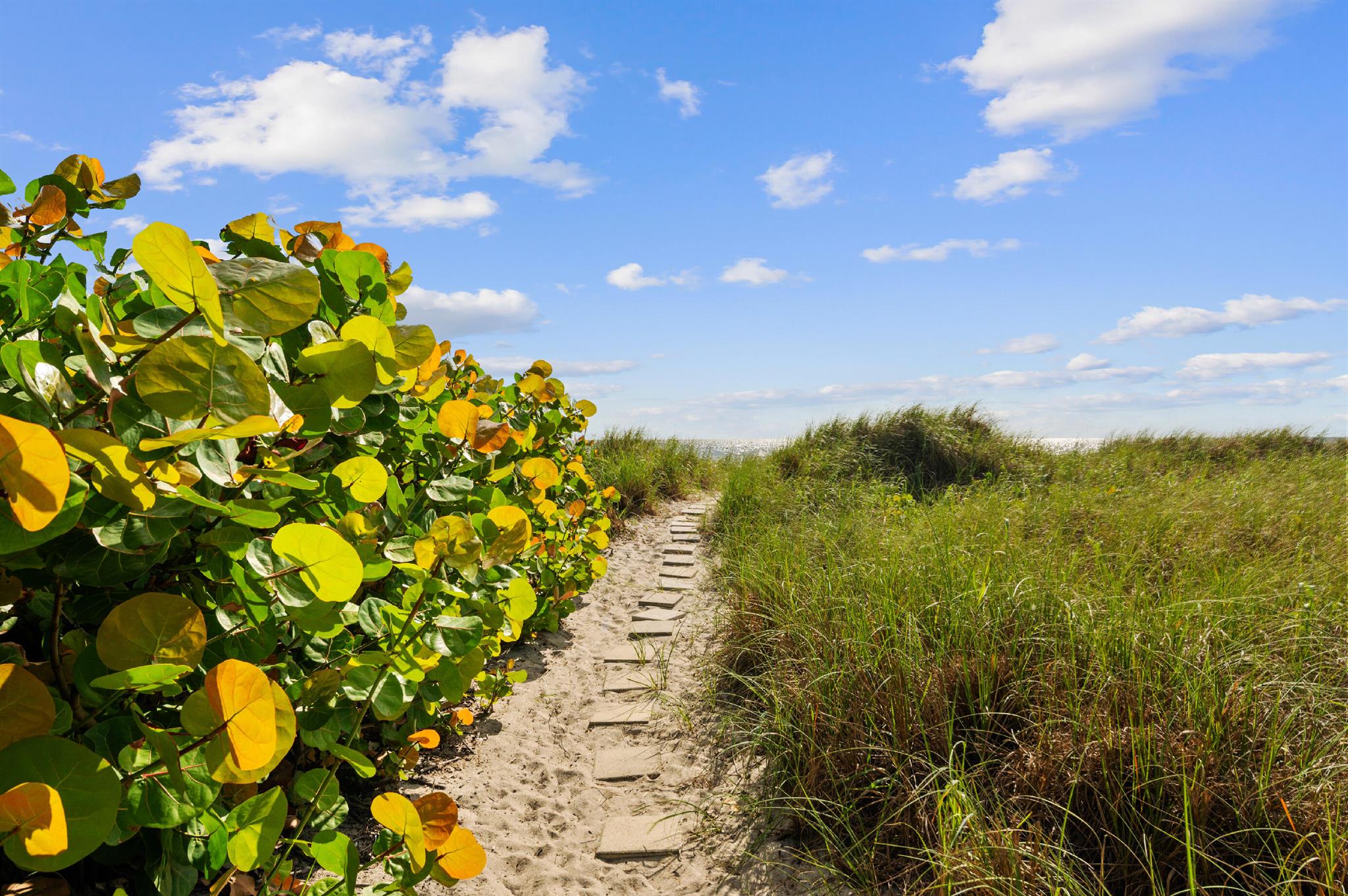 Coastal House - Residential