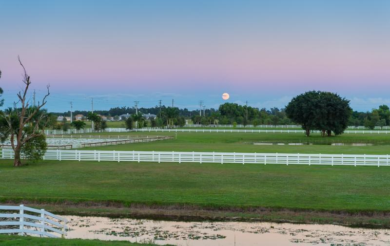 PALM BEACH POINT - Residential