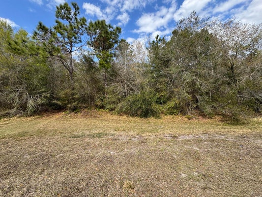 30 S CANOE CREEK RD, KENANSVILLE, FL 34739 - Image 0b91caffefaef9029e1a12e88a8a3501/3327366816