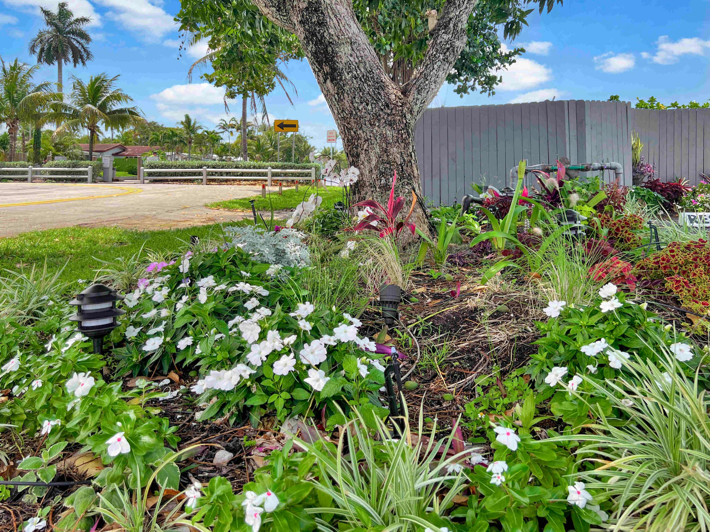 CAMELOT SHORES CONDO - Residential