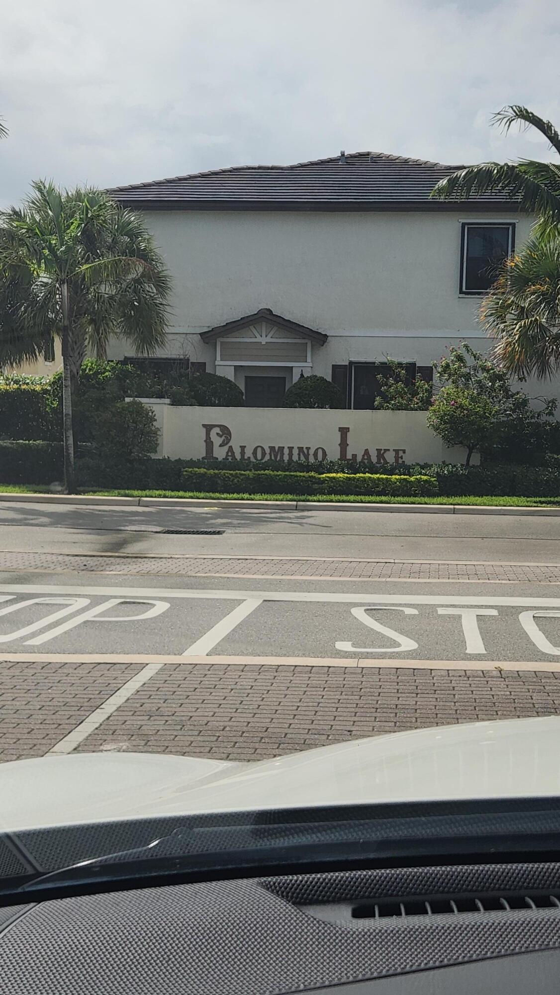 PALOMINO LAKES / TROTTERS CHASE - Residential