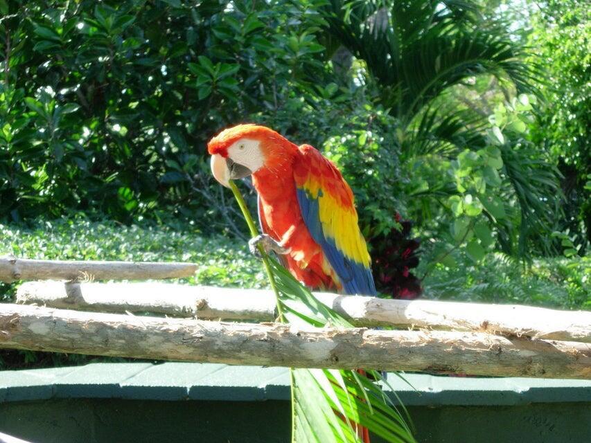 COTE D AZUR - Residential