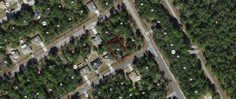 141 W Ruska Place Citrus Springs FL 34434