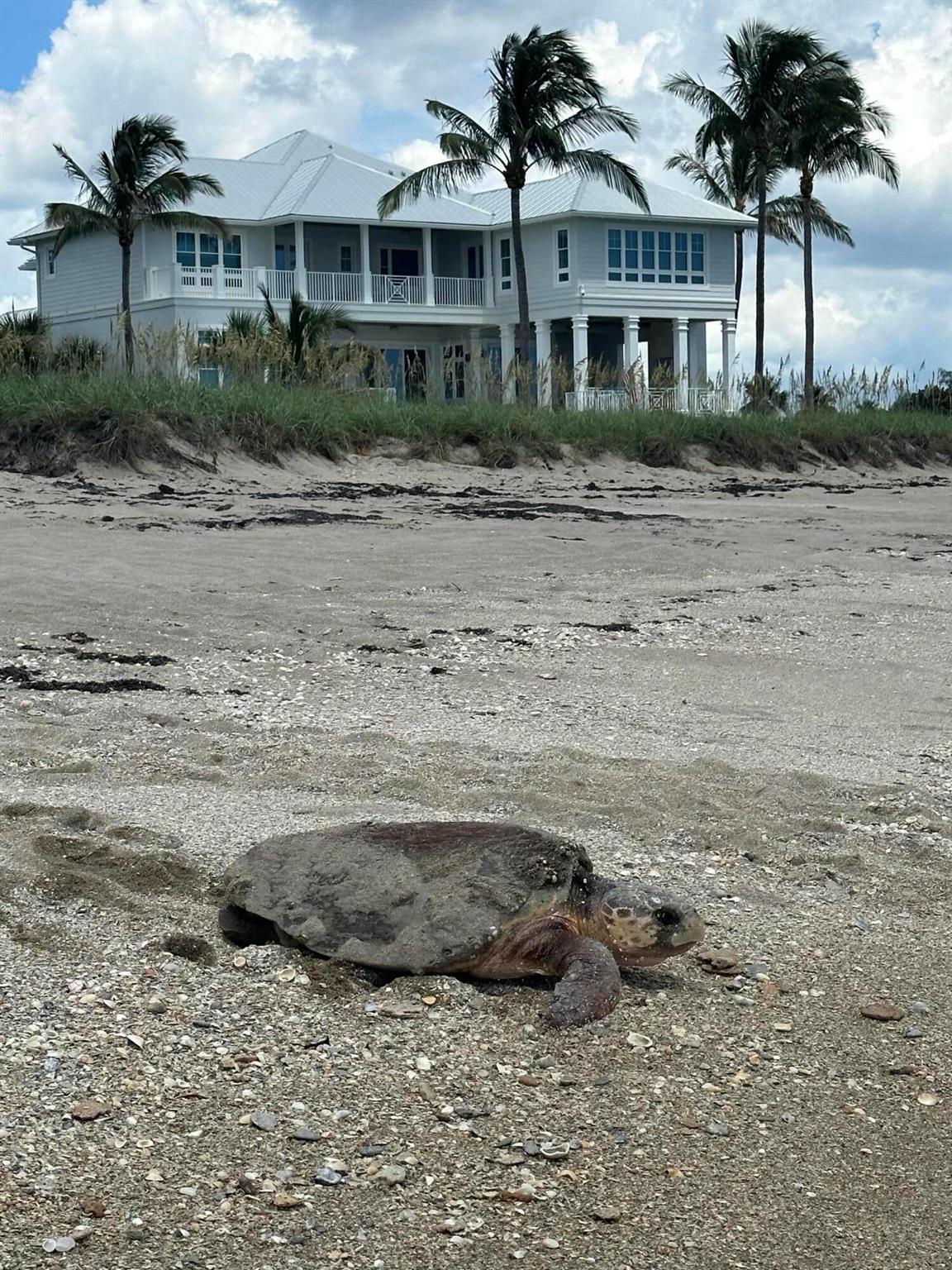 DIAMOND SANDS - Residential