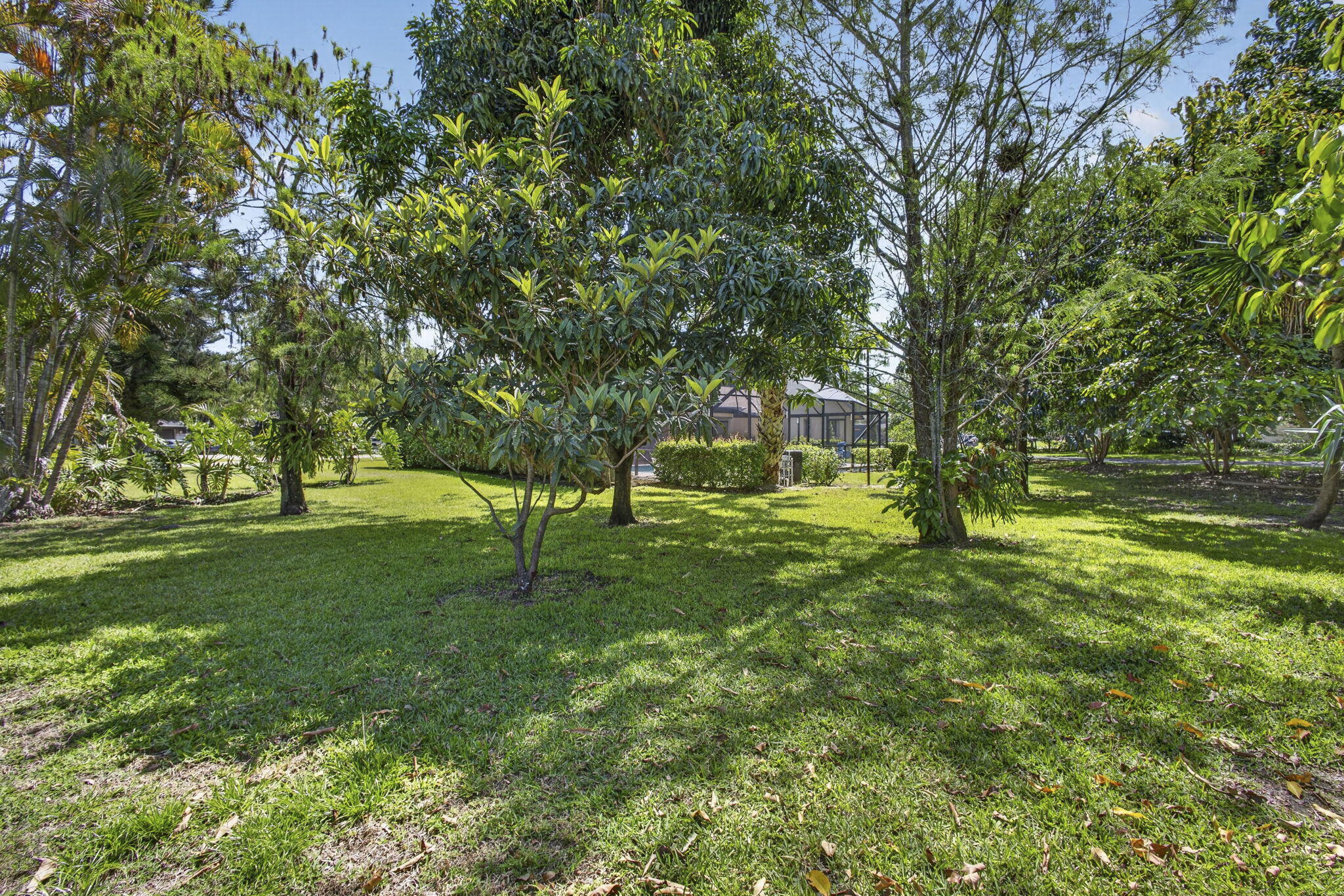 PINEWOOD EAST 2 OF WELLINGTON - Residential