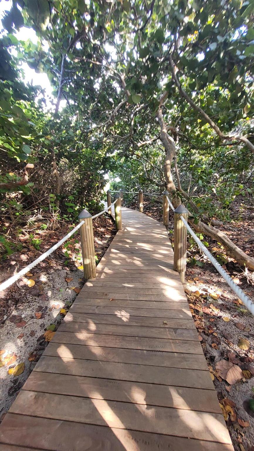 MAYAN TOWERS CONDO II - T - Residential Lease