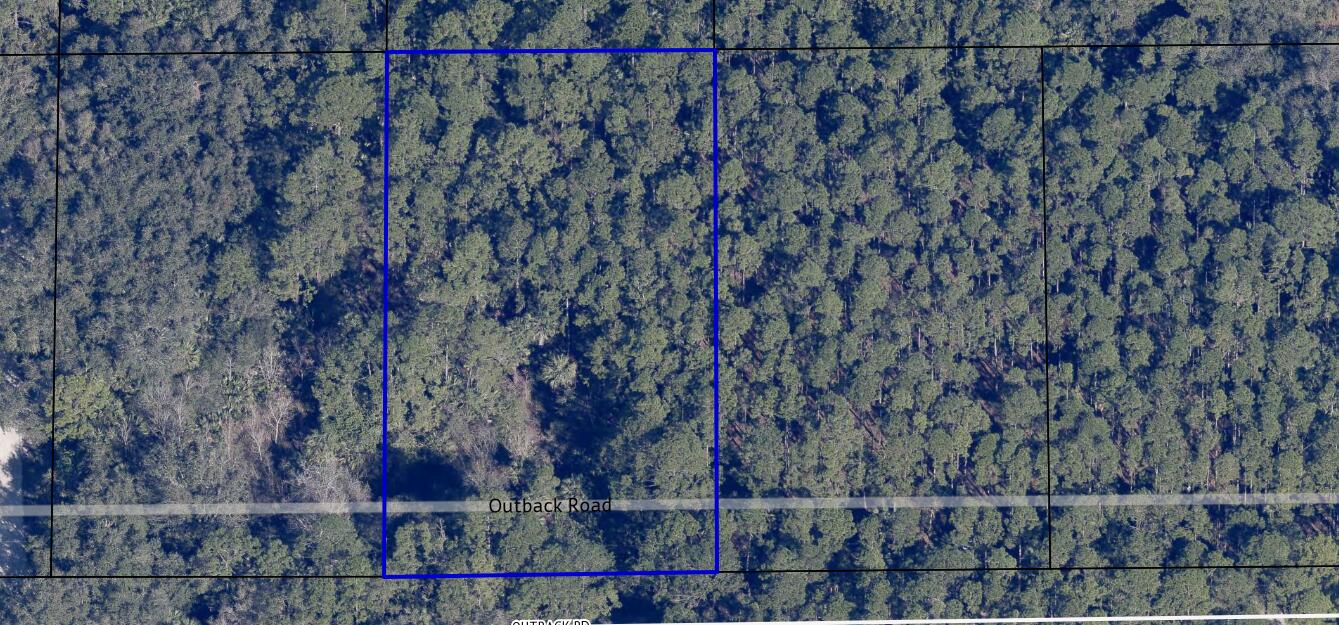 CANAVERAL GROVES SUBD - Land