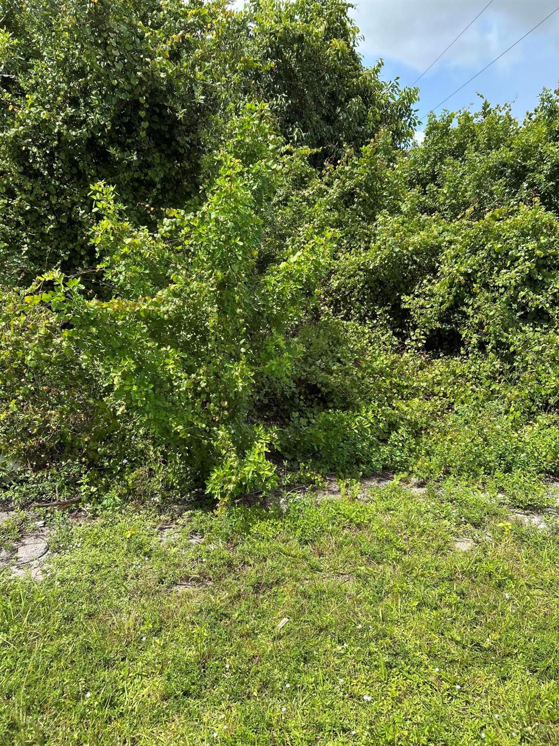 PORT ST LUCIE SECTION 33 - Land