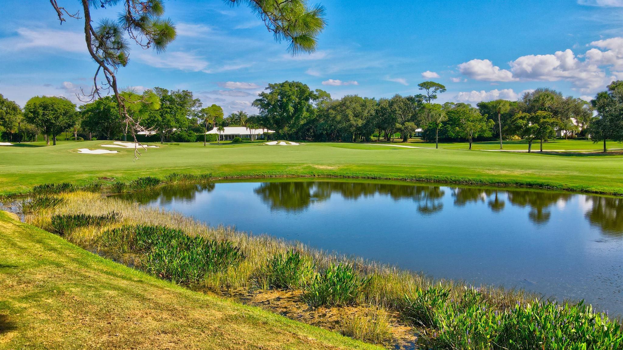 GOLF VILLAGE OF UNIT 1 - Land