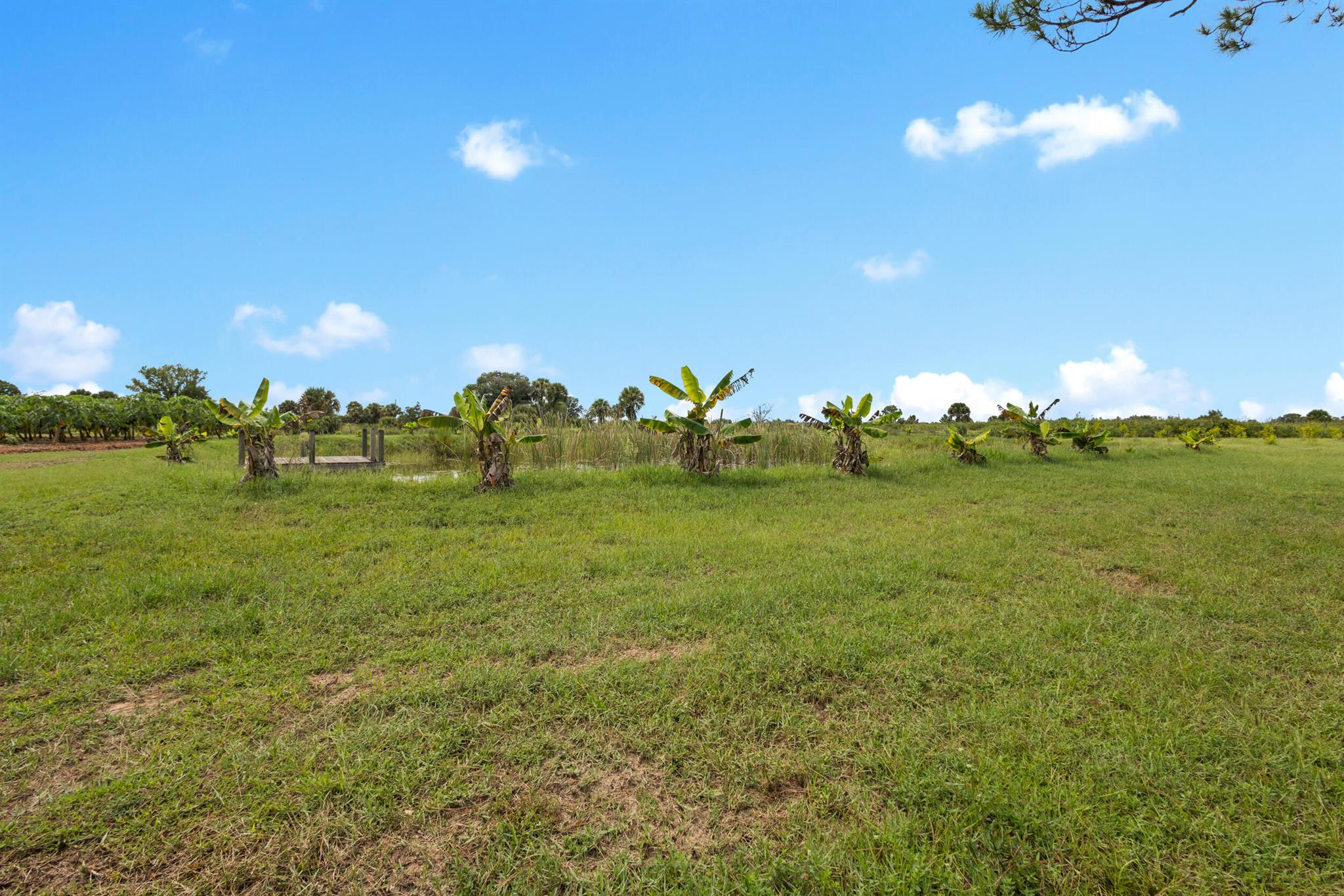 OKEECHOBEE COUNTY - Land