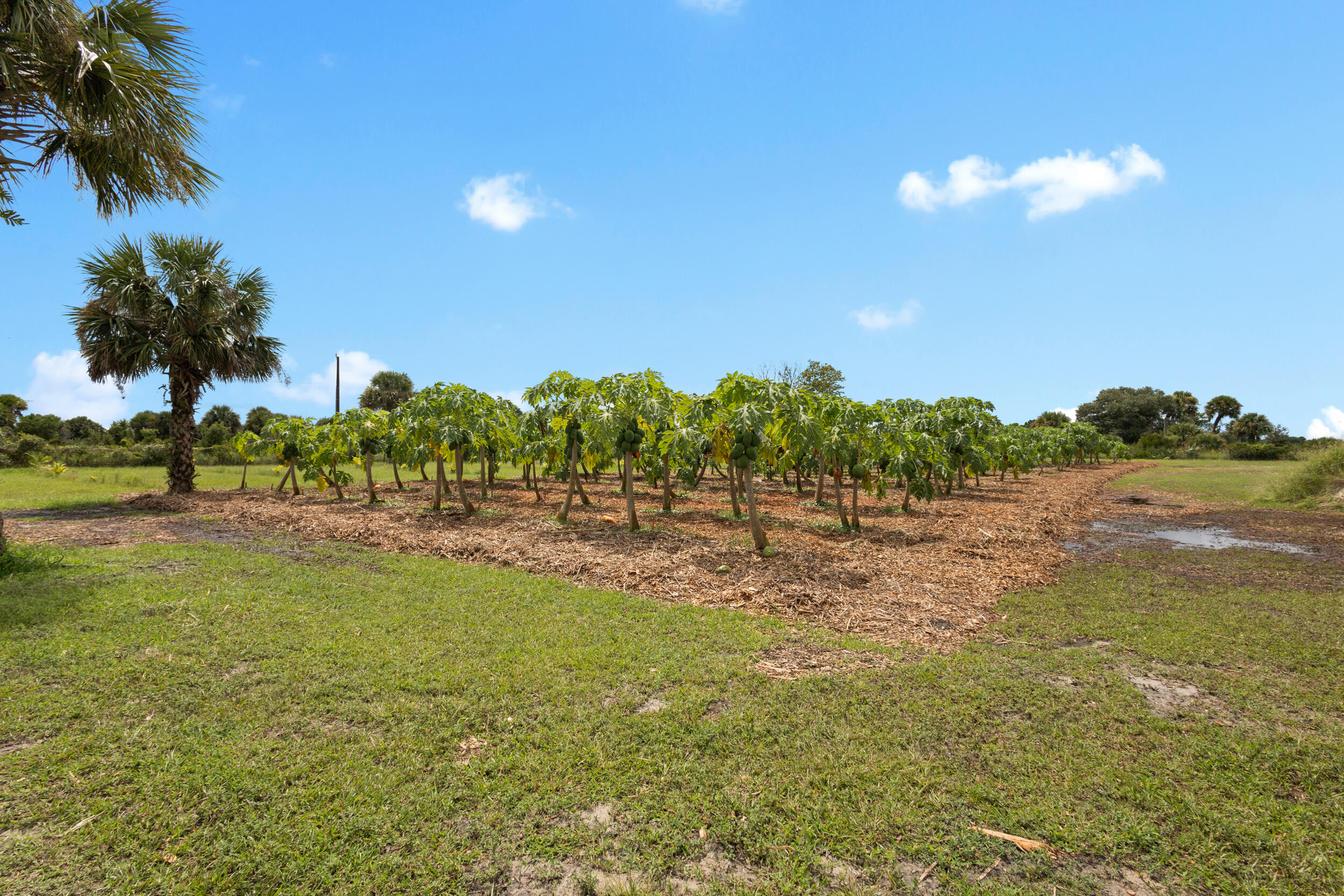 OKEECHOBEE COUNTY - Land