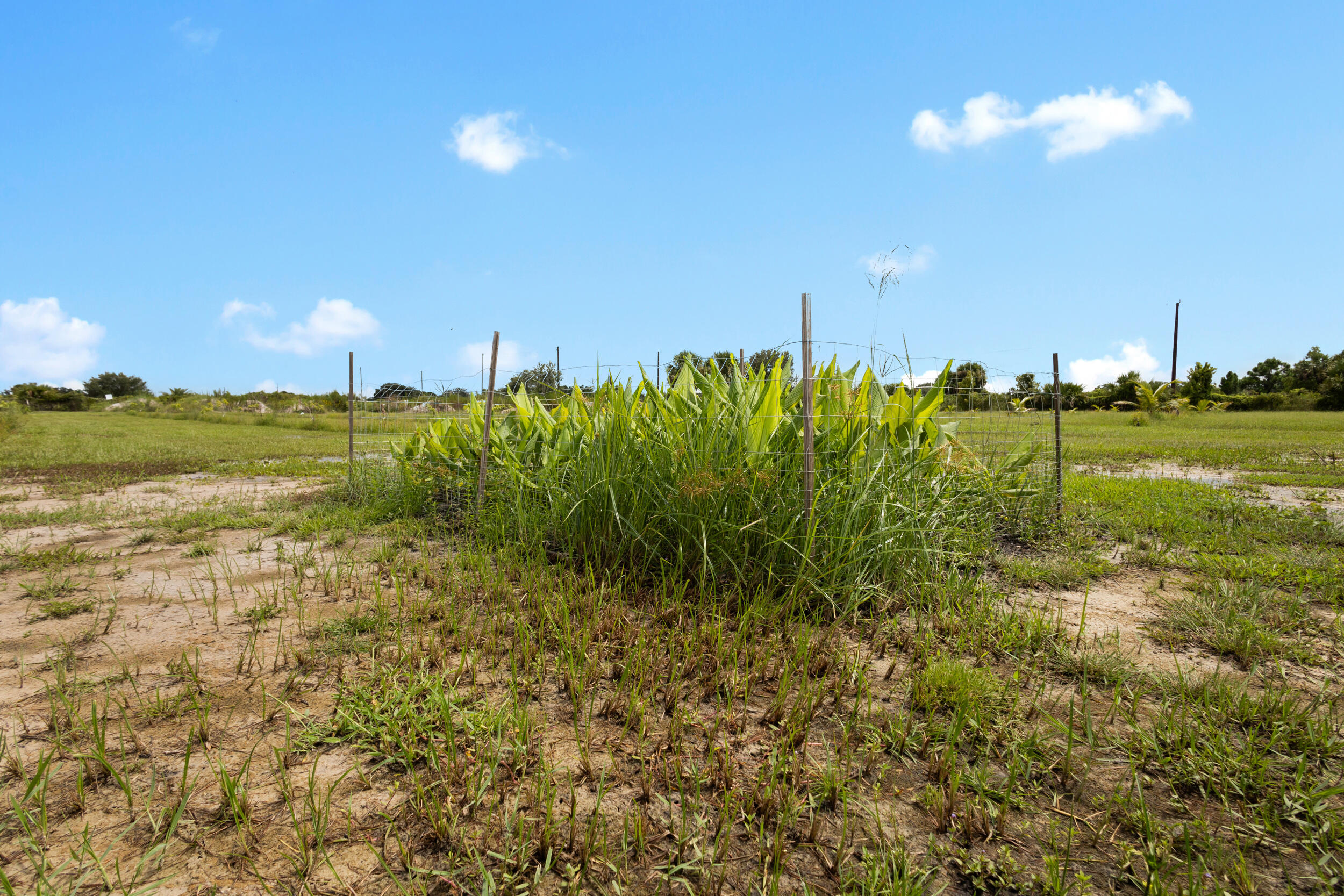 OKEECHOBEE COUNTY - Land