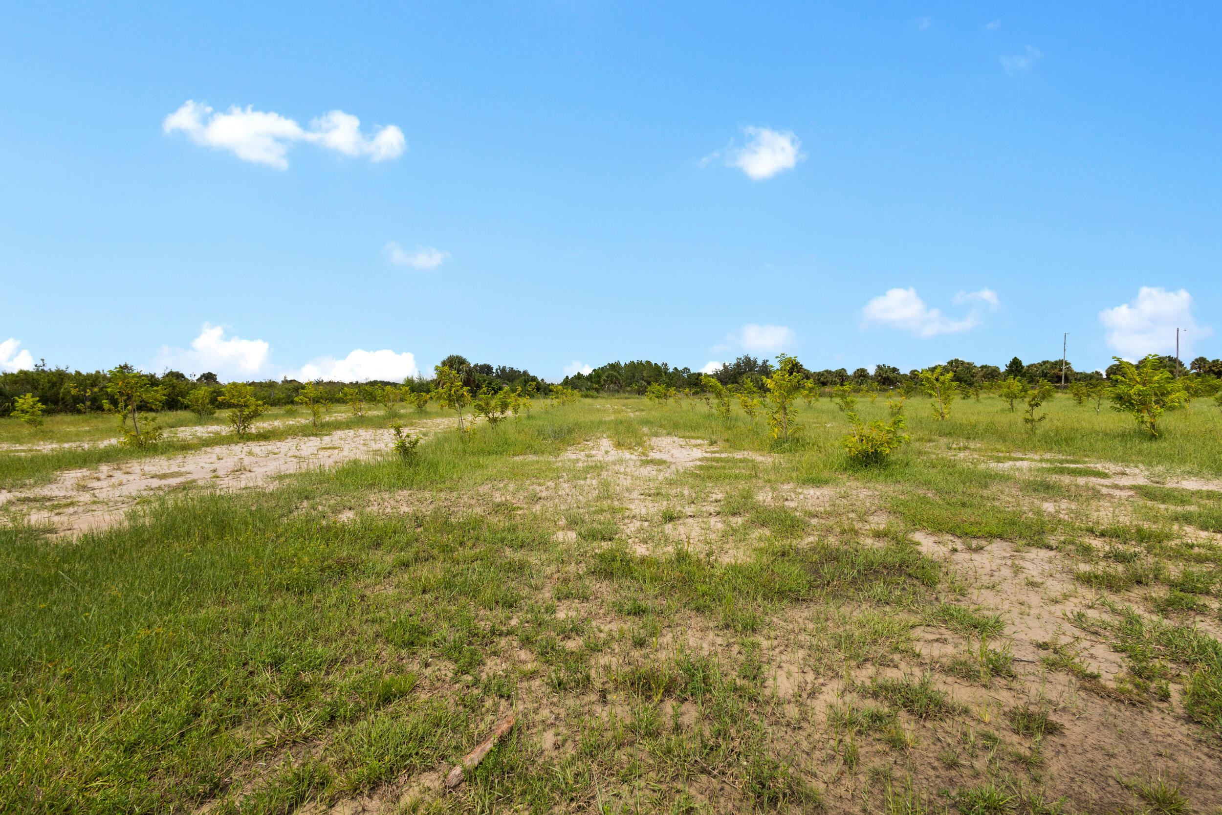 OKEECHOBEE COUNTY - Land