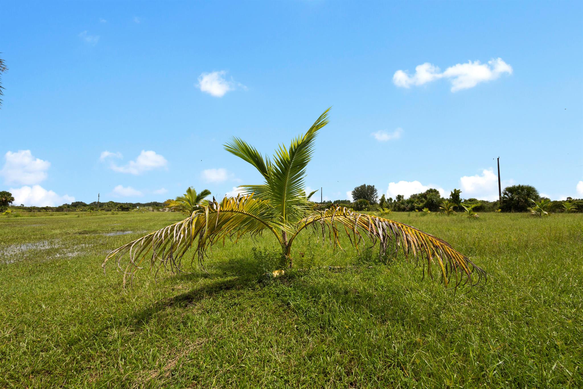 OKEECHOBEE COUNTY - Land