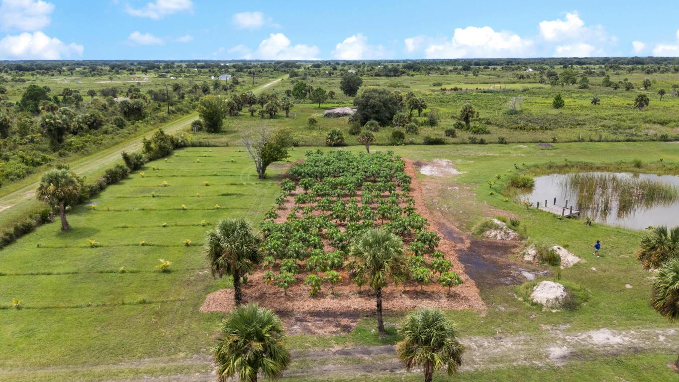 OKEECHOBEE COUNTY - Land