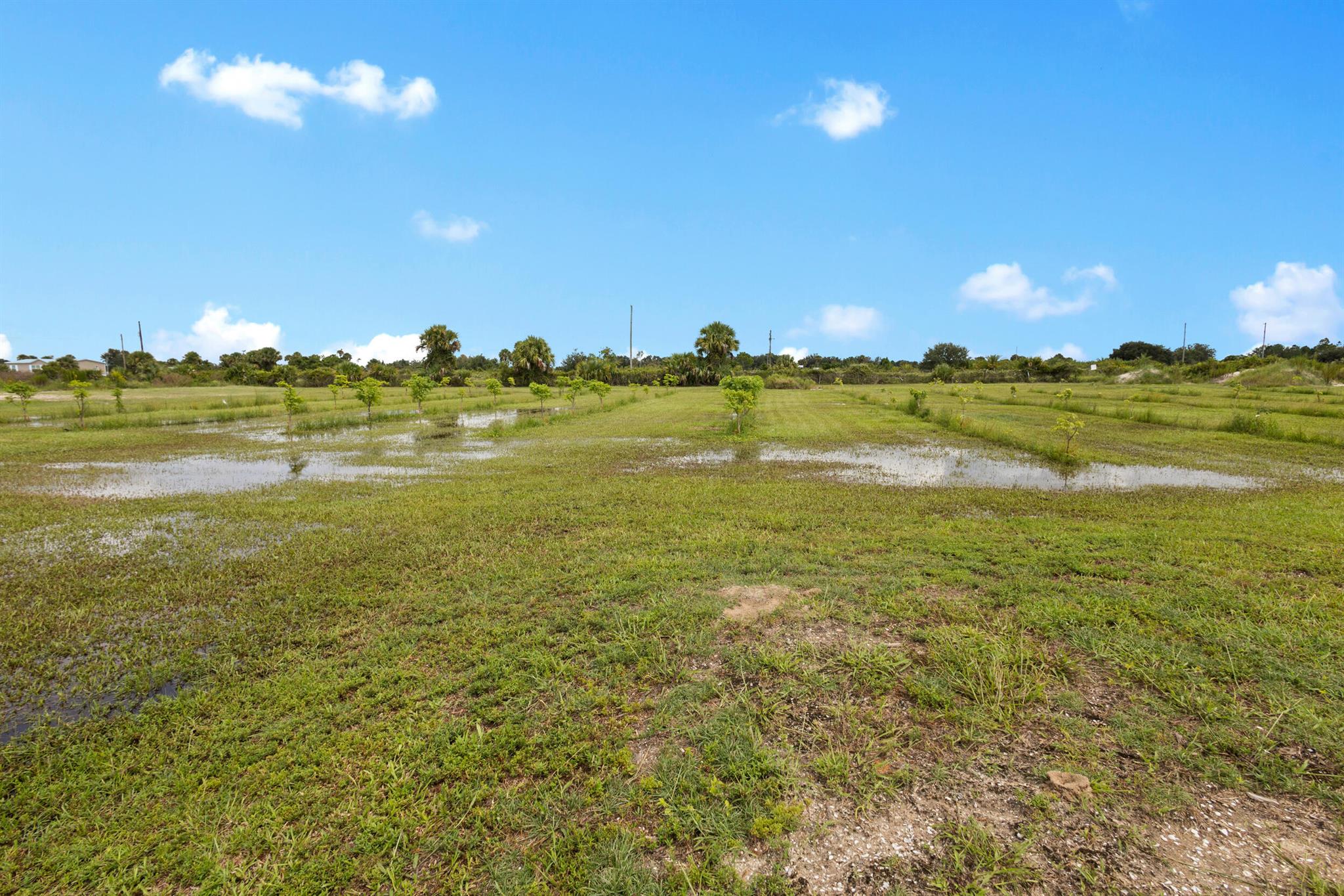 OKEECHOBEE COUNTY - Land
