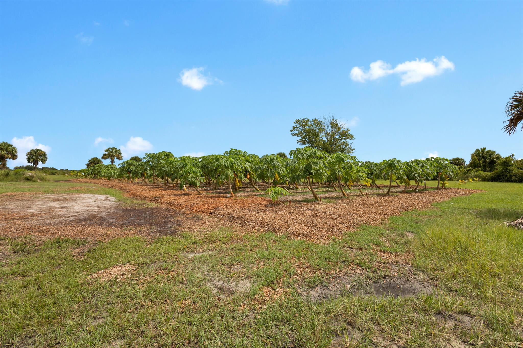OKEECHOBEE COUNTY - Land