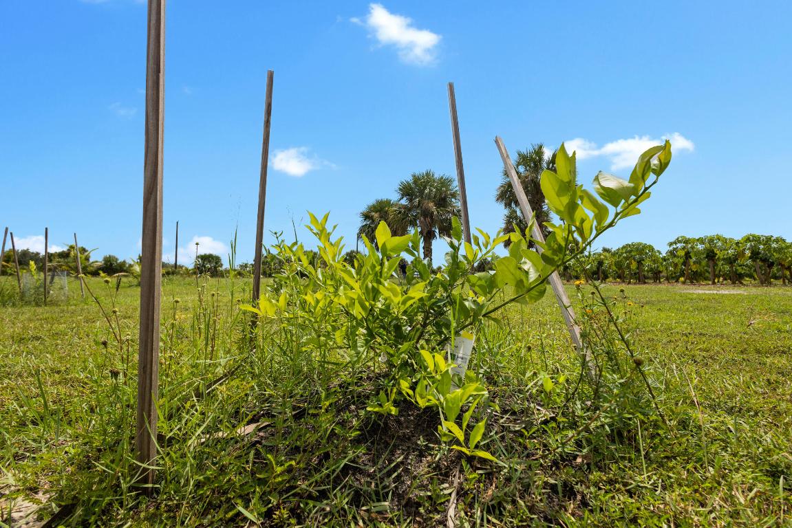 OKEECHOBEE COUNTY - Land