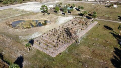 OKEECHOBEE COUNTY - Land