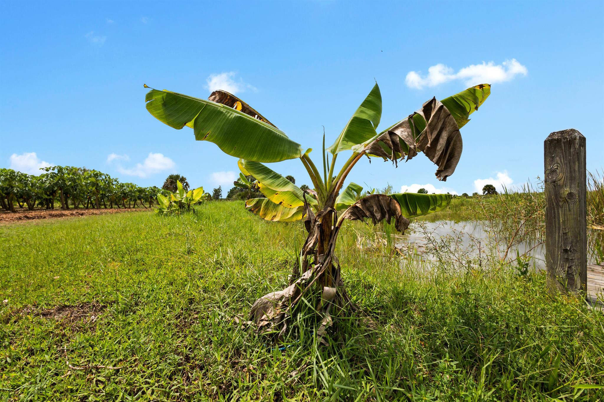 OKEECHOBEE COUNTY - Land