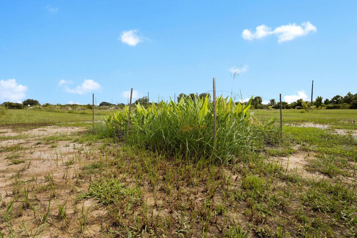OKEECHOBEE COUNTY - Land