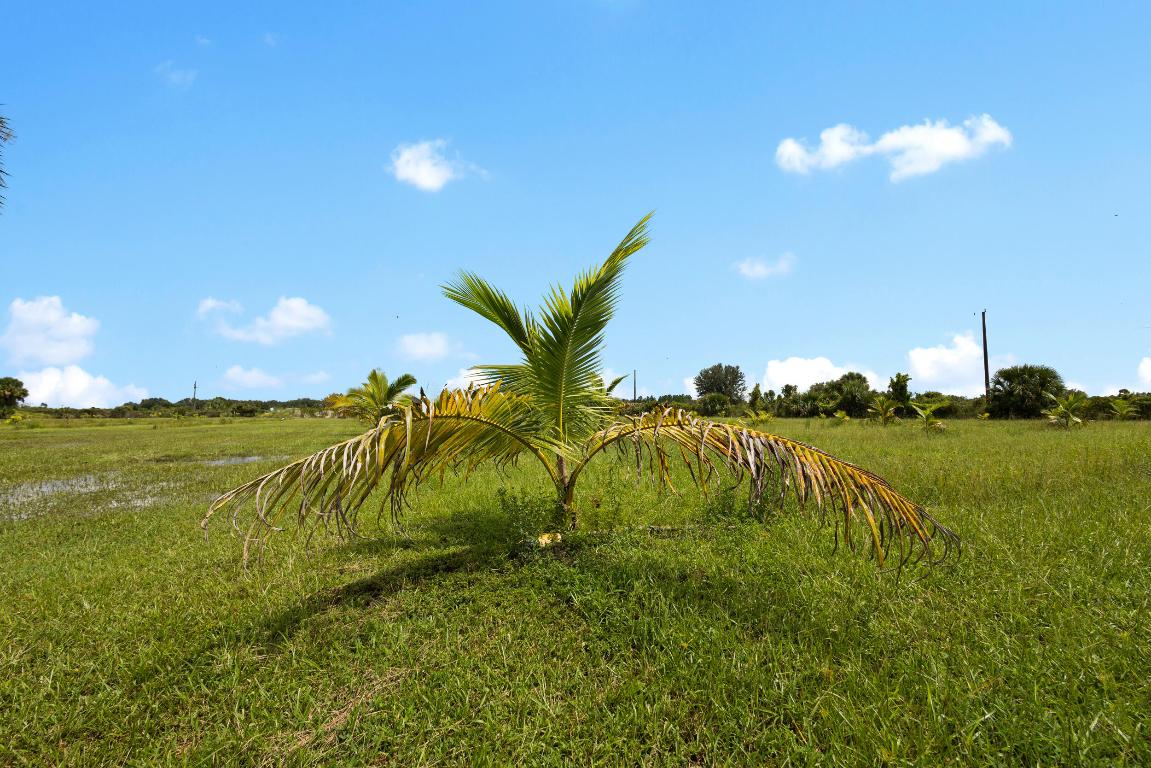 OKEECHOBEE COUNTY - Land