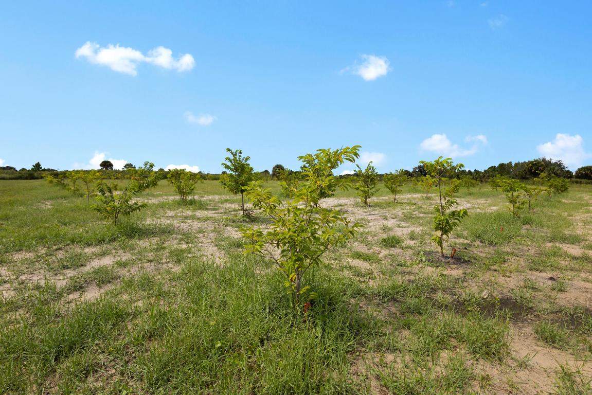OKEECHOBEE COUNTY - Land