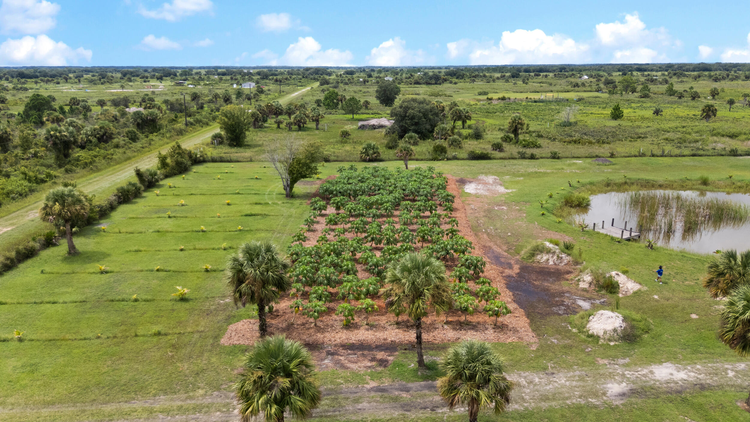 OKEECHOBEE COUNTY - Land