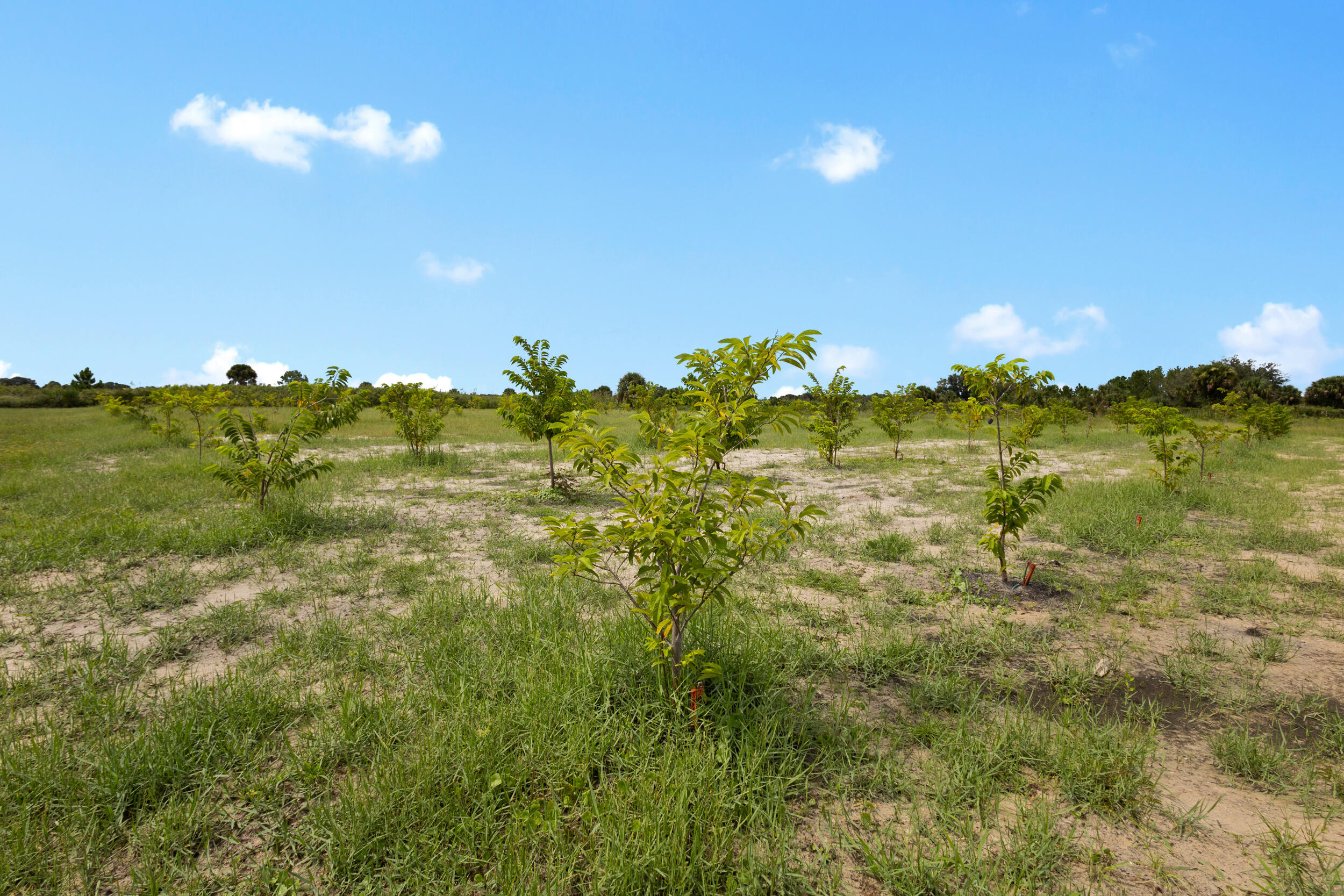 OKEECHOBEE COUNTY - Land
