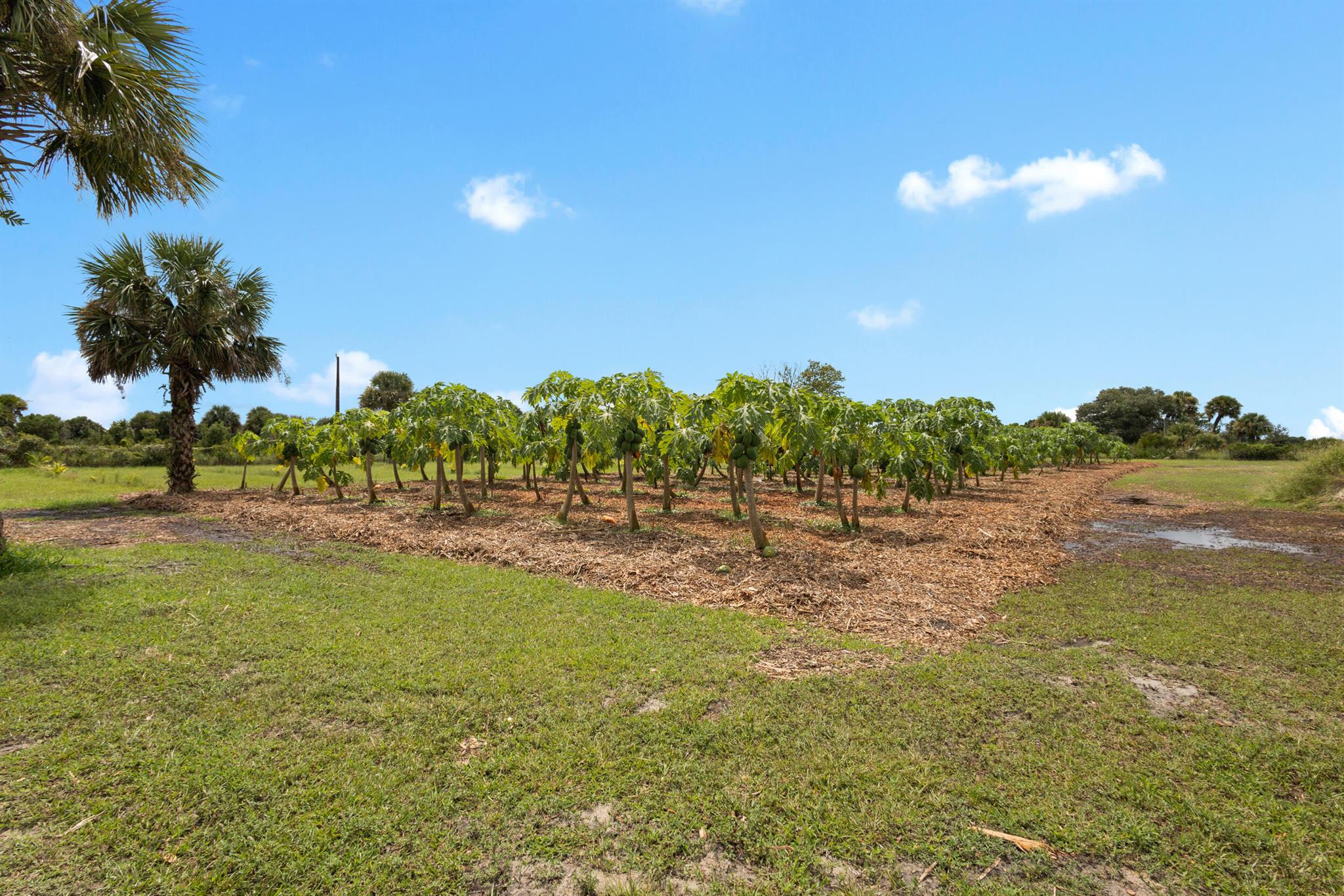 OKEECHOBEE COUNTY - Land