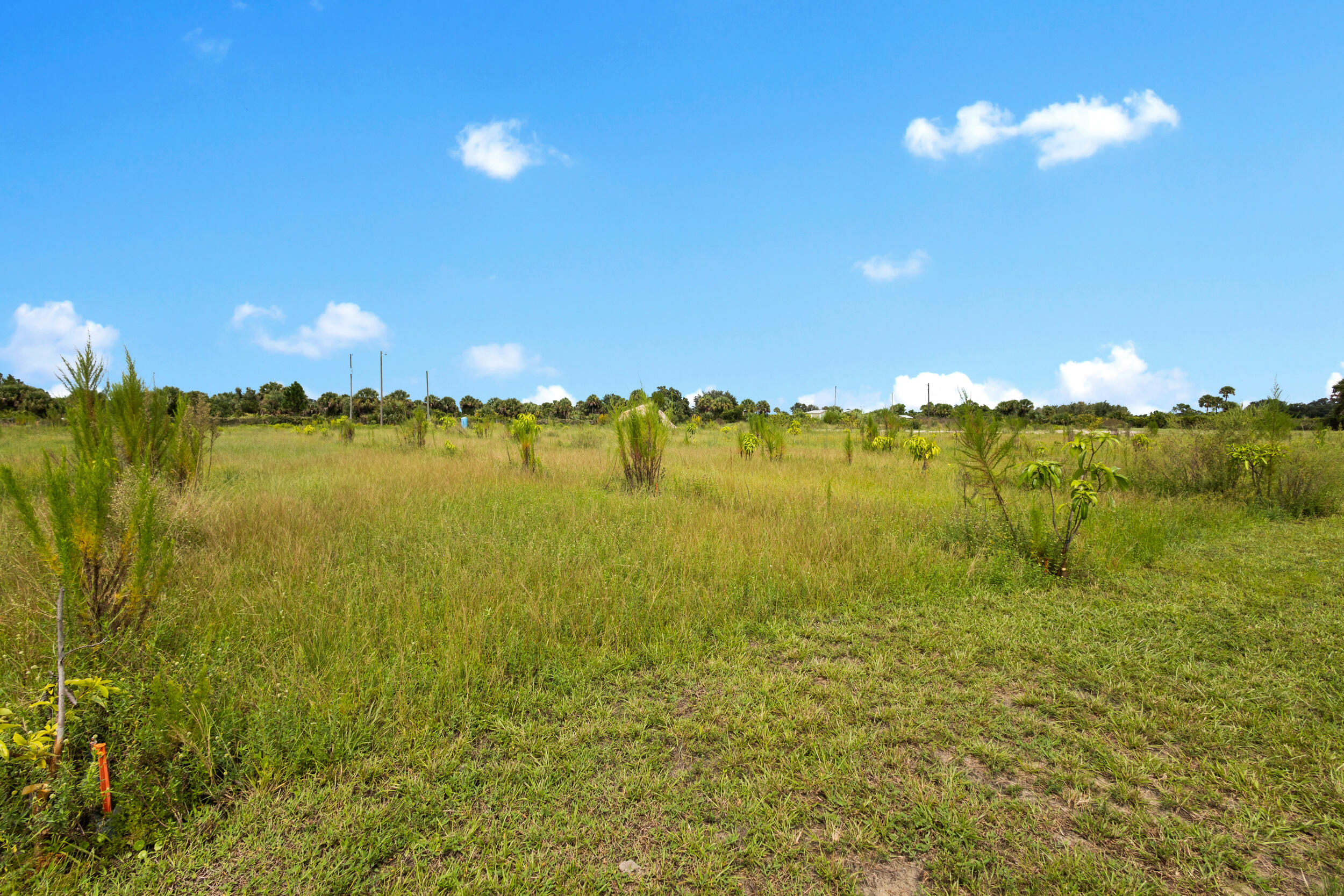 OKEECHOBEE COUNTY - Land