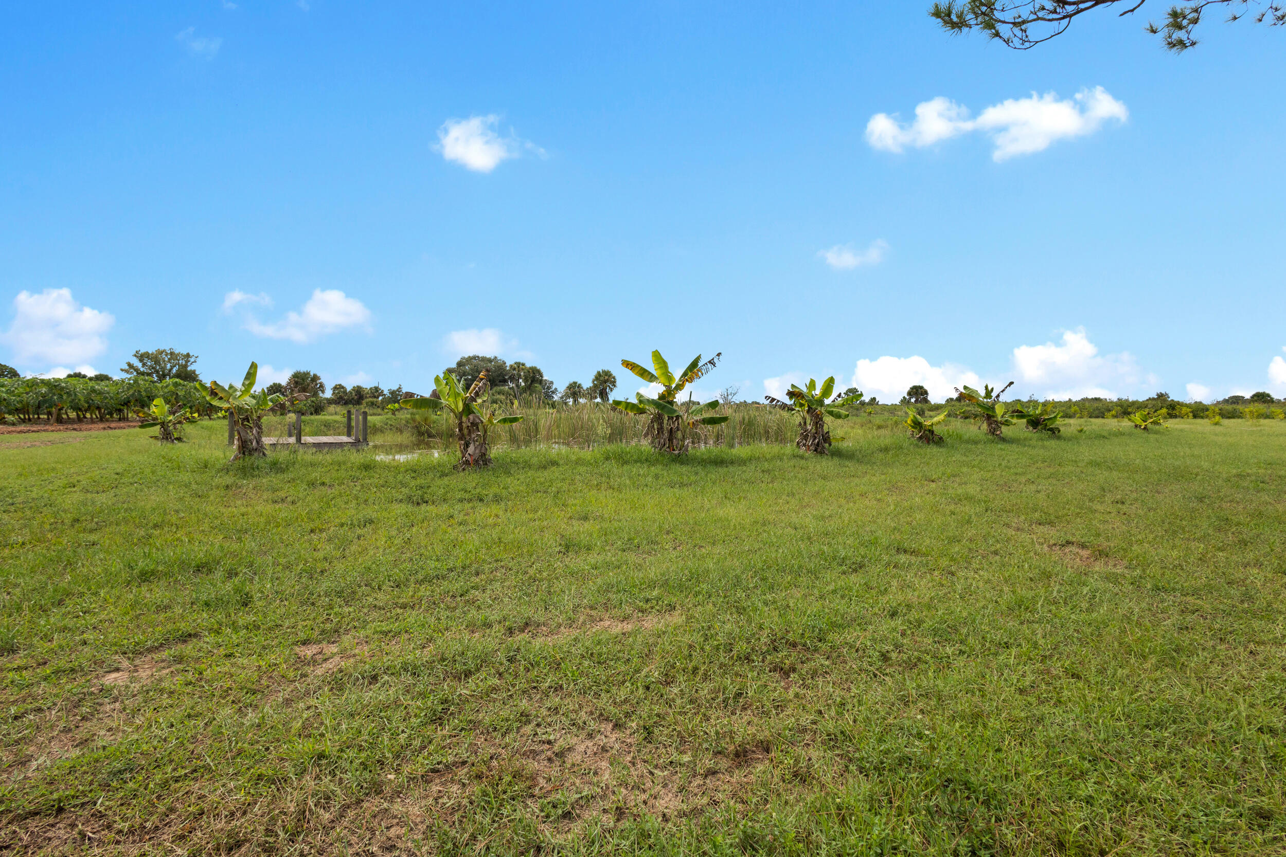 OKEECHOBEE COUNTY - Land