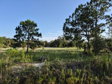 Land For Sale in Florida 16810 NW 292ND Street Okeechobee FL 34972