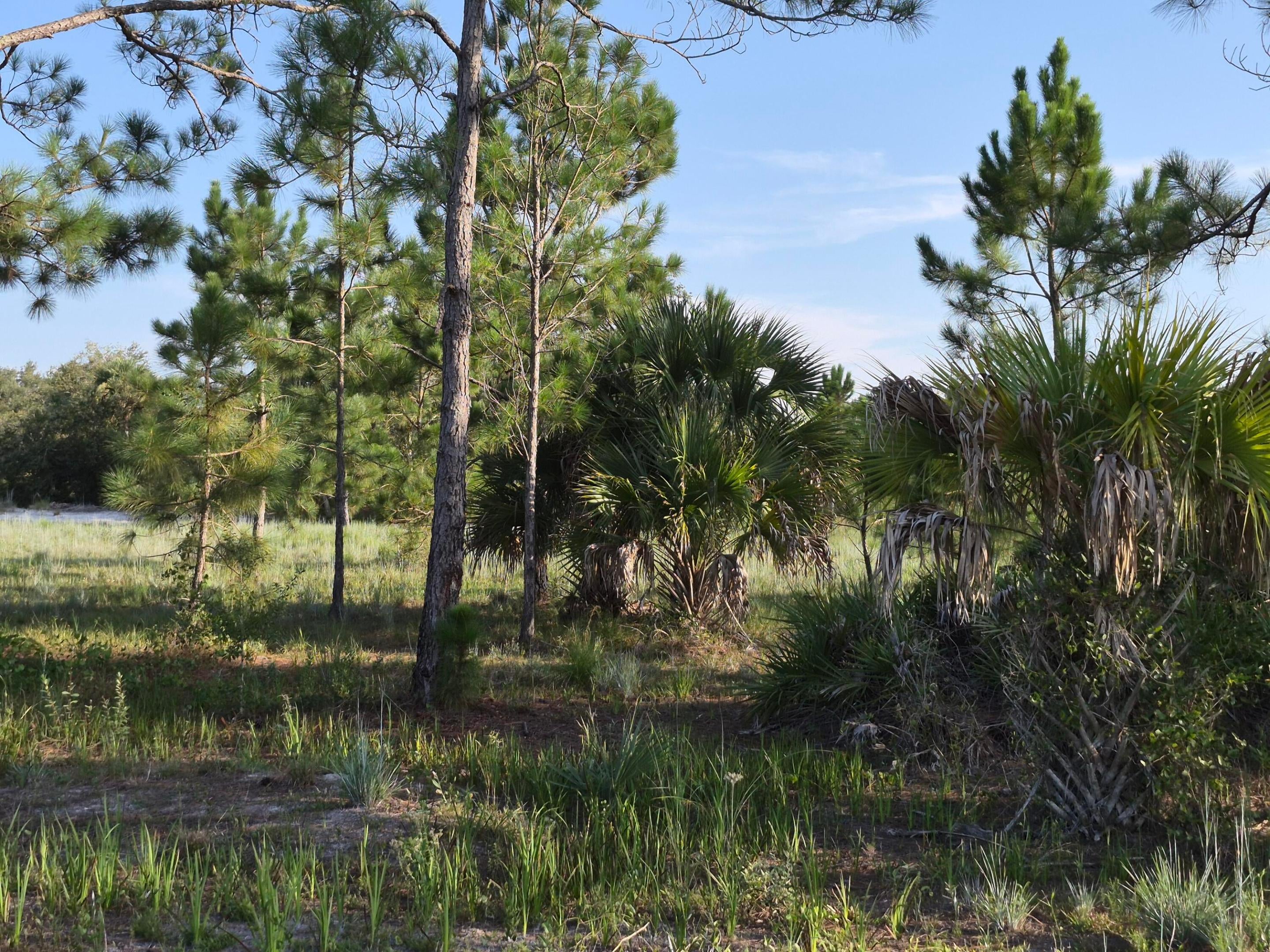 16810 NW 292ND Street