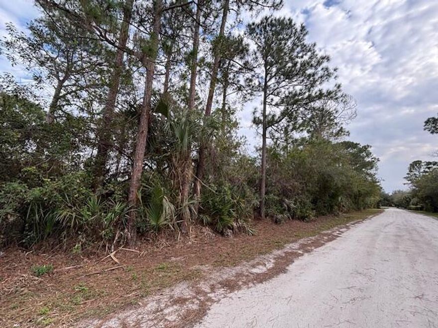 2 side by side lots for sale in Vero Lake Estates. For sale separately or buy 2 lots for your future dream home. No HOA, close to beaches, shopping, restaurants and I-95. Build your custom home in this fast growing residential community.