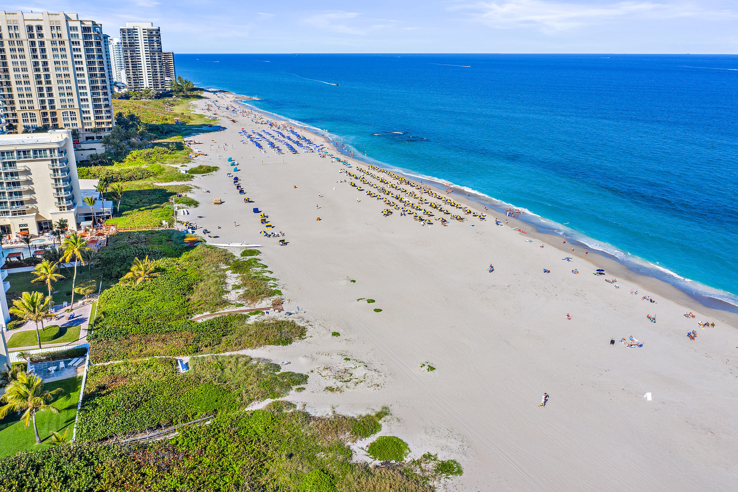 Oceantree - Residential