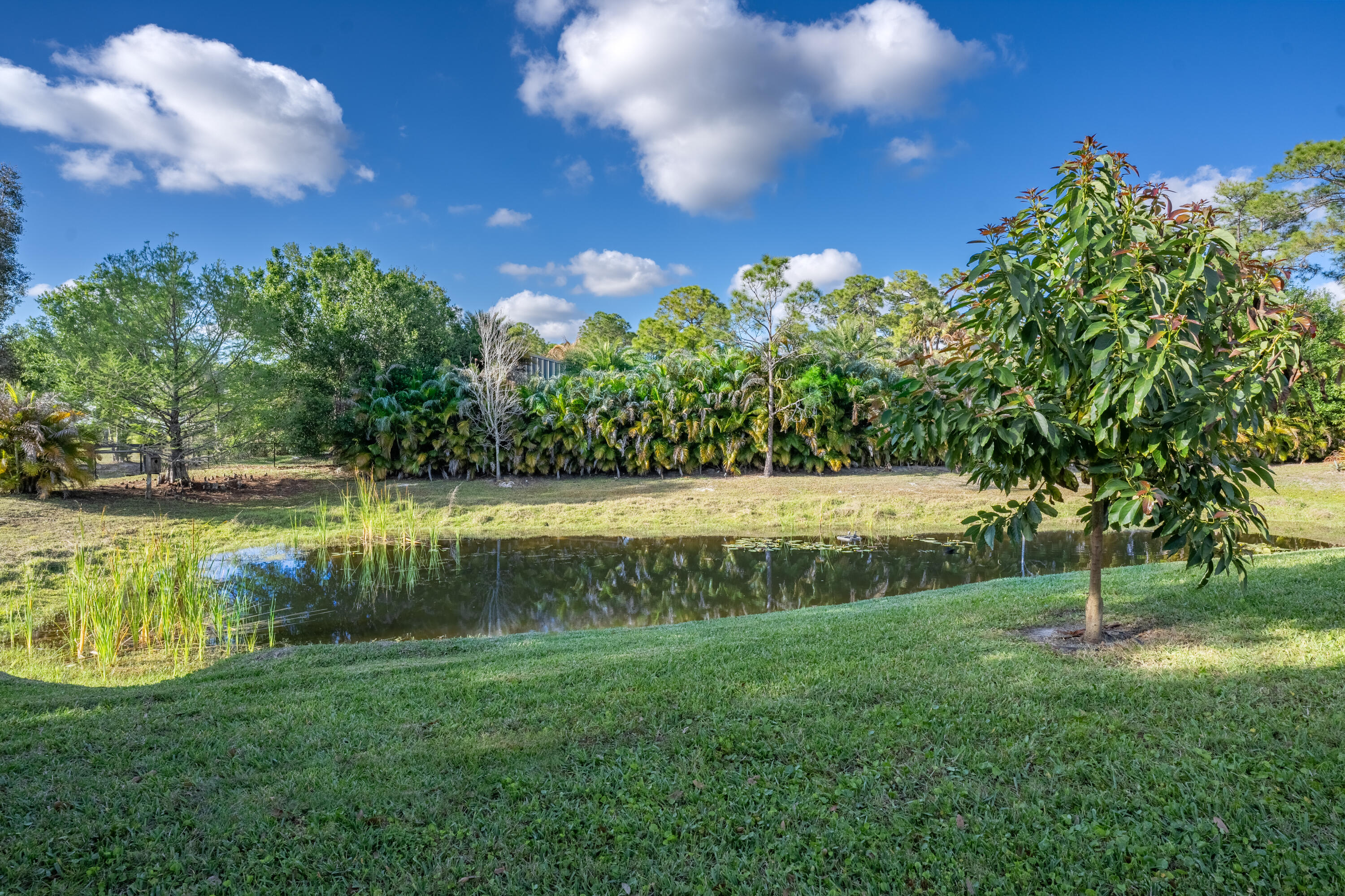 Jupiter Farms - Residential